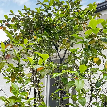 Entre Bordeaux Et L'atlantique - Jardin * Saint-Médard-en-Jalles