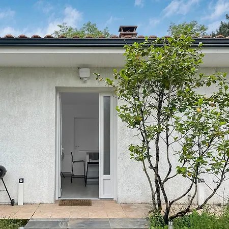 Entre Bordeaux Et L'atlantique Avec Jardin Apartment